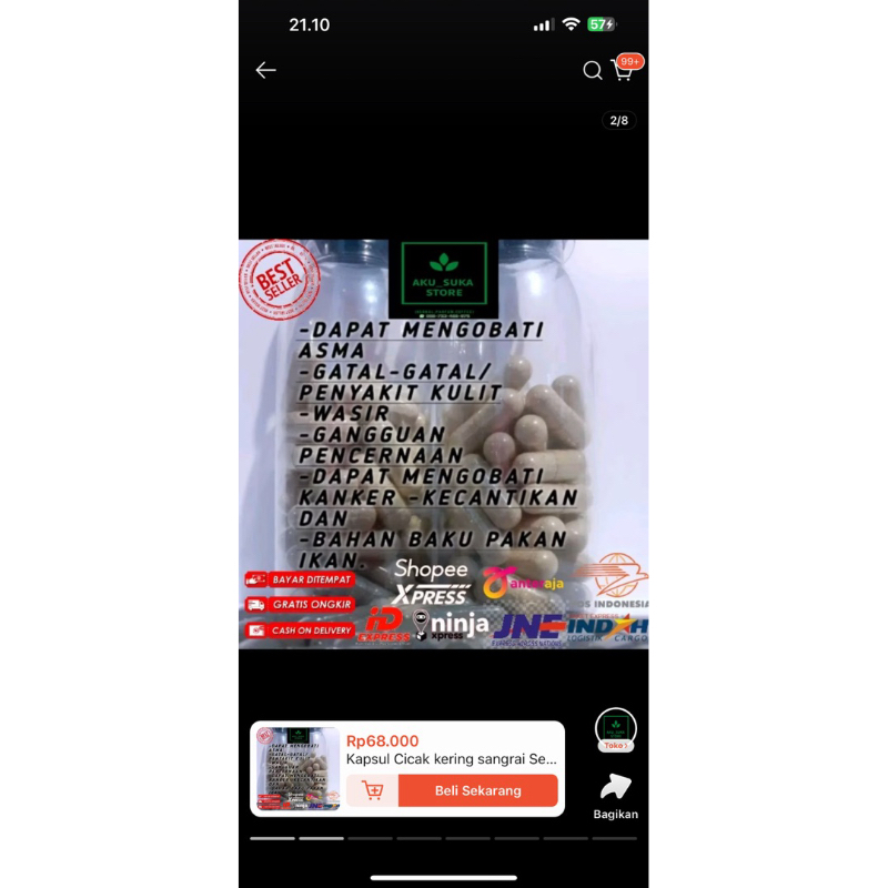 Kapsul Cicak isi 50 kapsul mengobati gatal