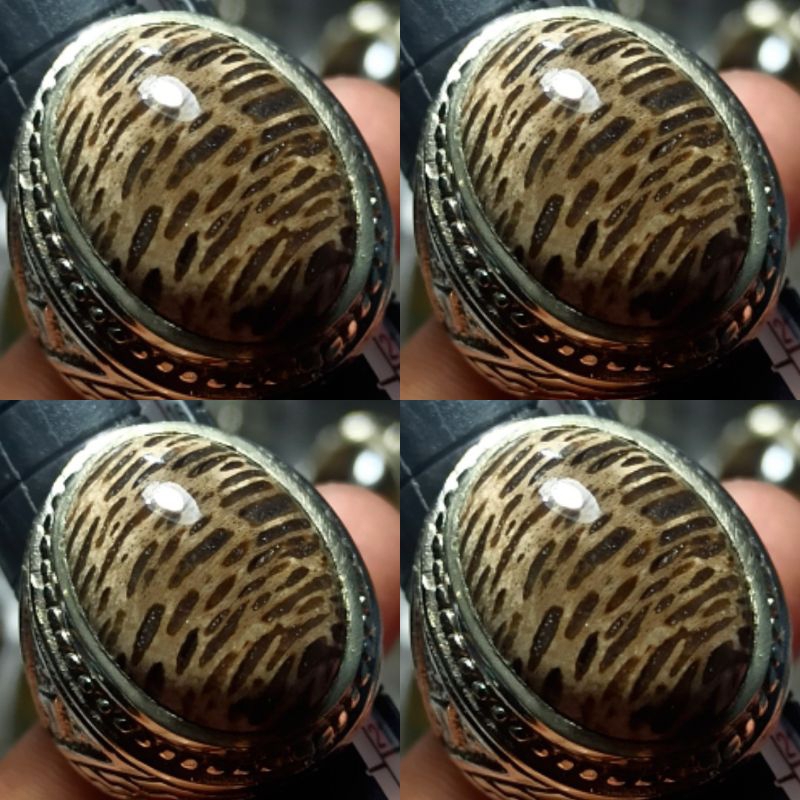 BATU AKIK POSIL KELOR