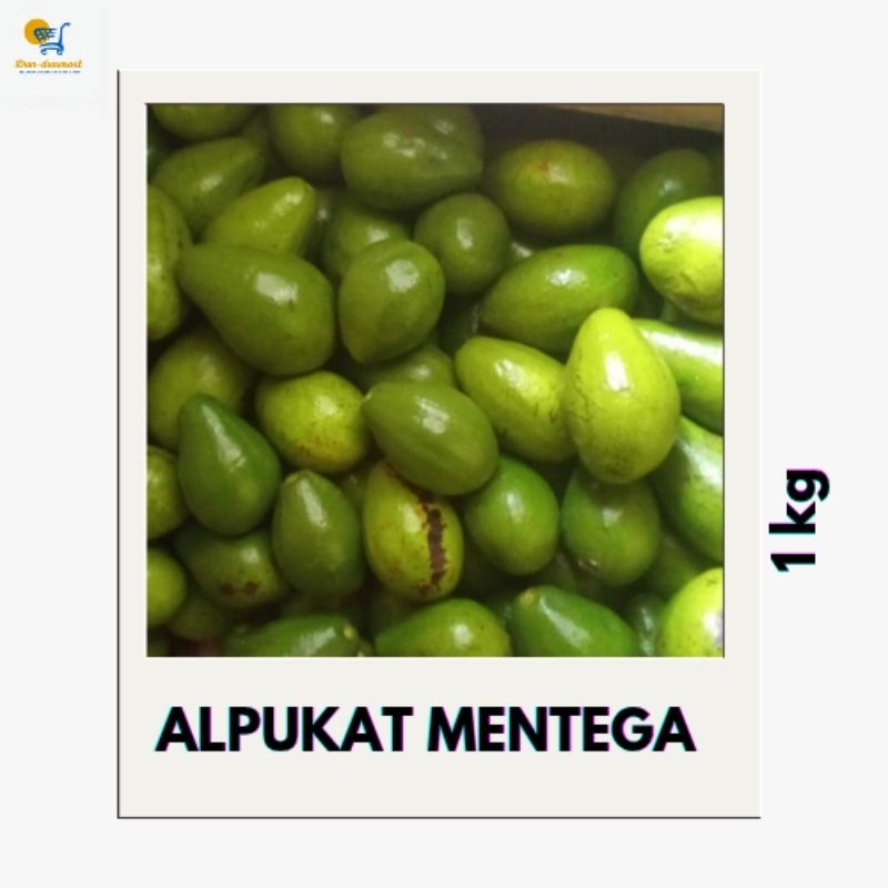 

Alpukat Mentega matang kualitas terbaik termurah 1kg