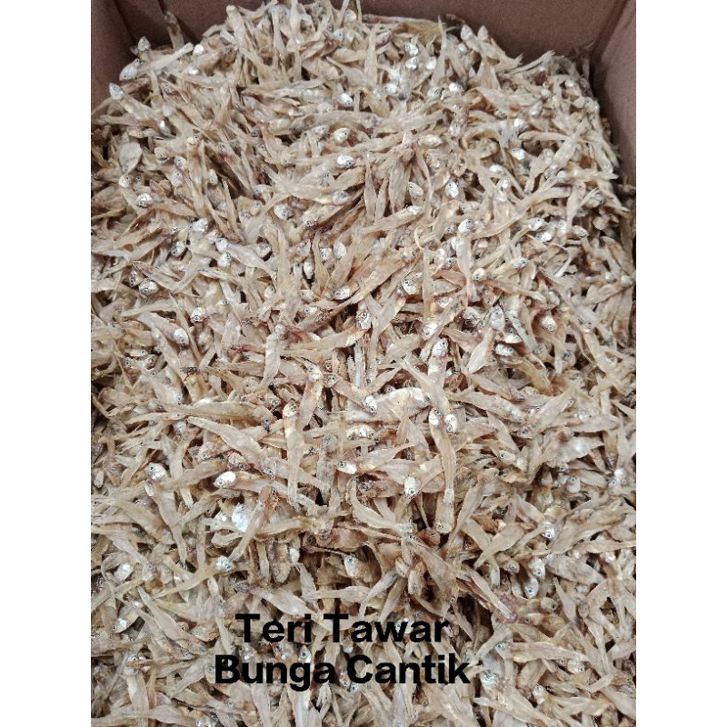 

iKan Asin Teri Tawar Bunga Cantik Fresh