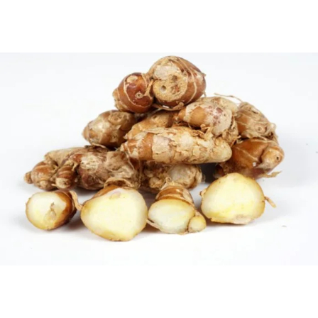 

Kencur Bumbu Dapur Rempah Fresh Segar
