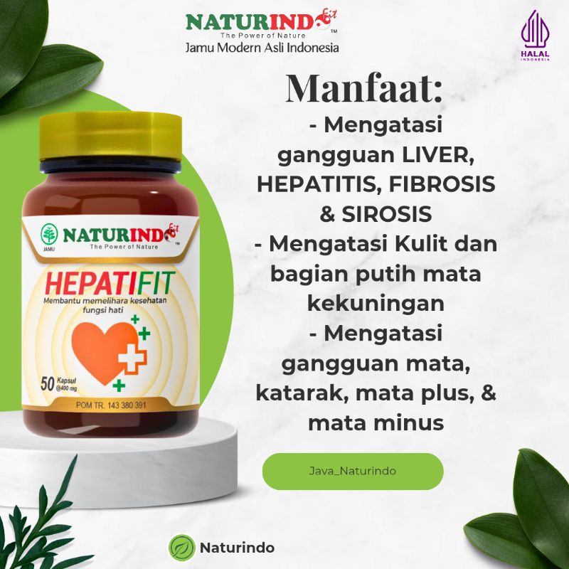 HEPATIFIT OBAT LIVER SAKIT HATI HEPATITIS FIBROSIS&SIROSIS