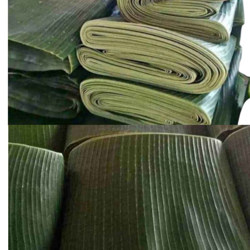 

INSTAN - DAUN PISANG TUA FRESH 1 GULUNG +/- 800GRAM