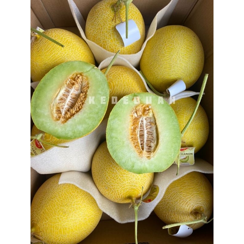 

Melon Inthanon 1 Buah