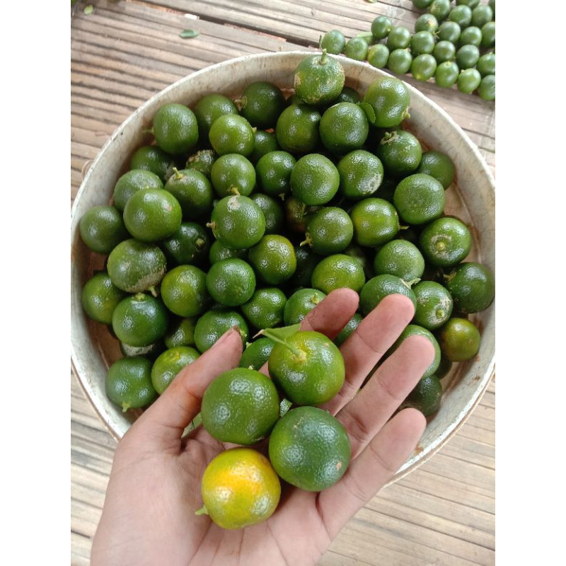 

jeruk peras, jeruk kunci 1kg jeruk kasturi