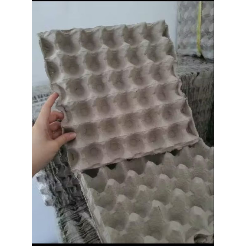 [ PAKET 10 LEMBAR ] Wadah Telur / egg try  / tempat telor karton bekas / egg tray murah