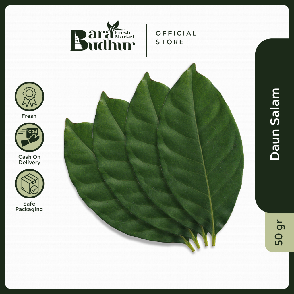 

Daun Salam Segar 20 gr Penyedap Masakan
