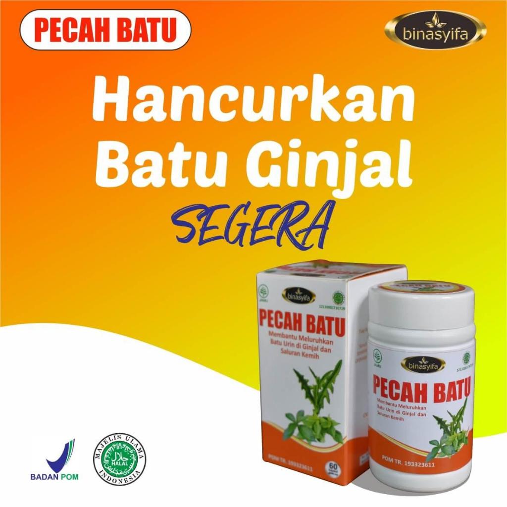 Obat Ginjal Infeksi Saluran Kencing Batu Ginjal