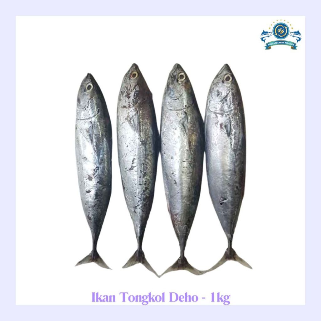 

Frozen Ikan Tongkol Deho 1kg (3-4pcs per pack)