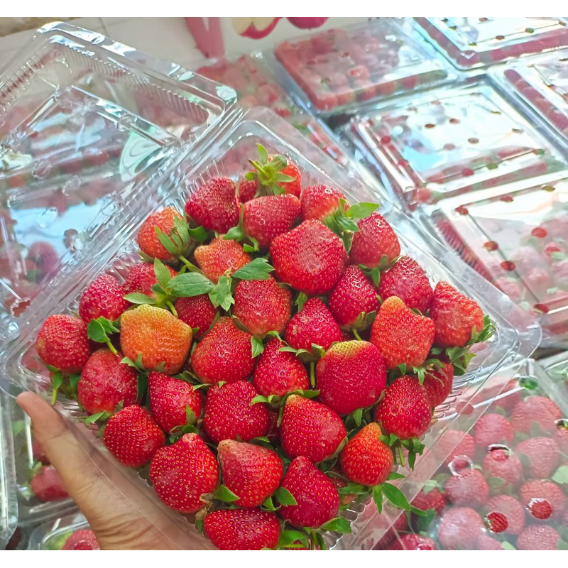 

Strawberry kemasan 1 kg ready stock