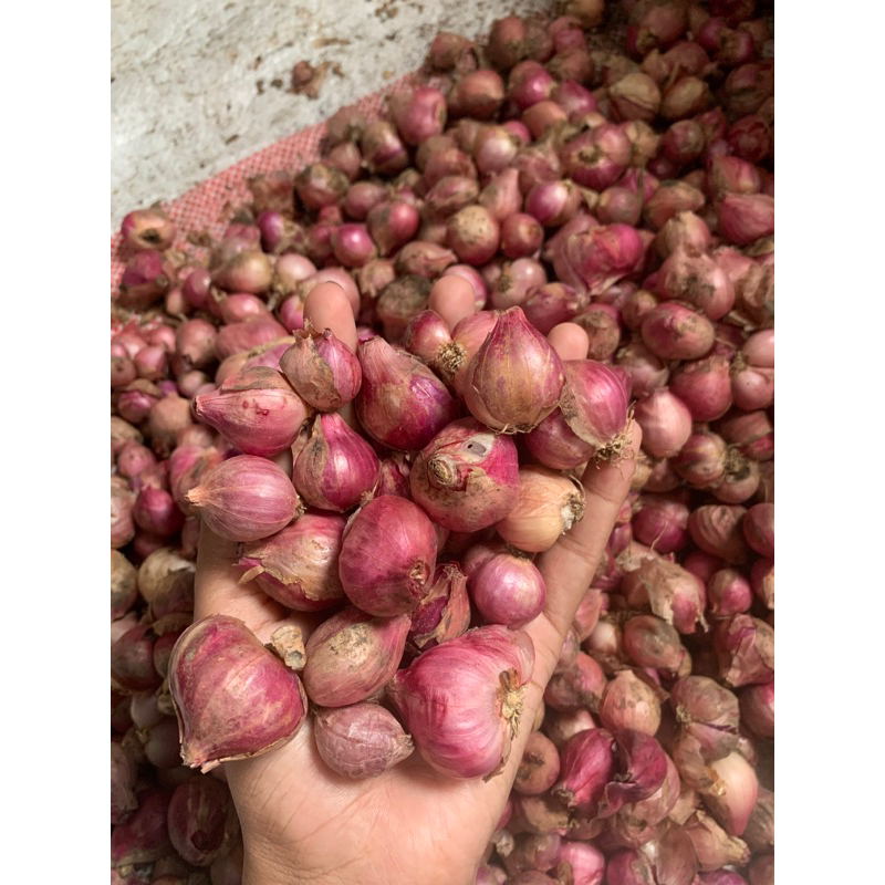 

Bawang Merah kering 1kg Tanggung Besar