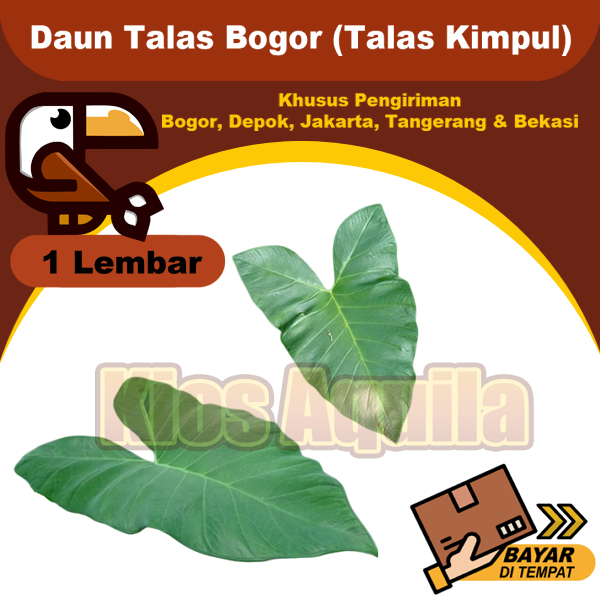 

Daun Talas Bogor Segar Per 1 Lembar Untuk Buntil Dan Pakan Ikan