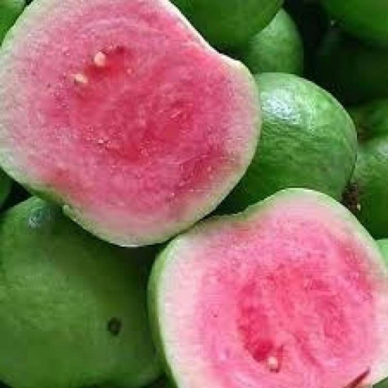 

Buah jambu kristal merah 1kg red diamond