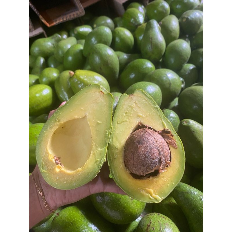 

Alpukat Mentega 1 Kg Super (Isi 2-3 buah)