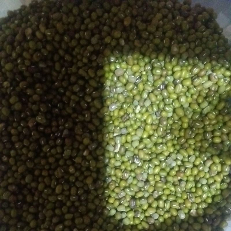 

Kacang Ijo kemasan 200gr