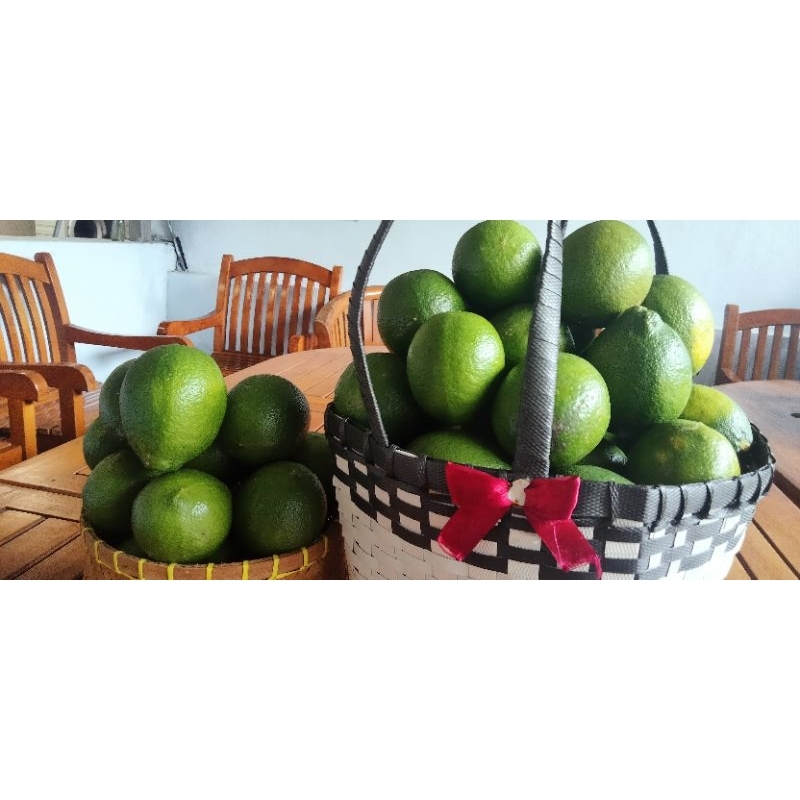 

LEMON HIJAU SEGAR UTUH 1KG