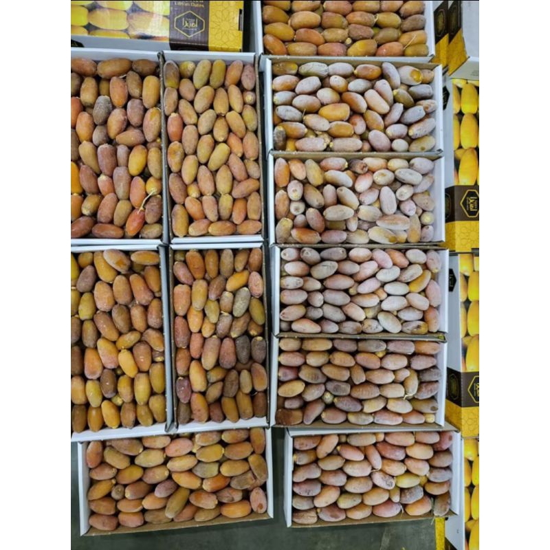 

kurma ruthob Libya 1kg .