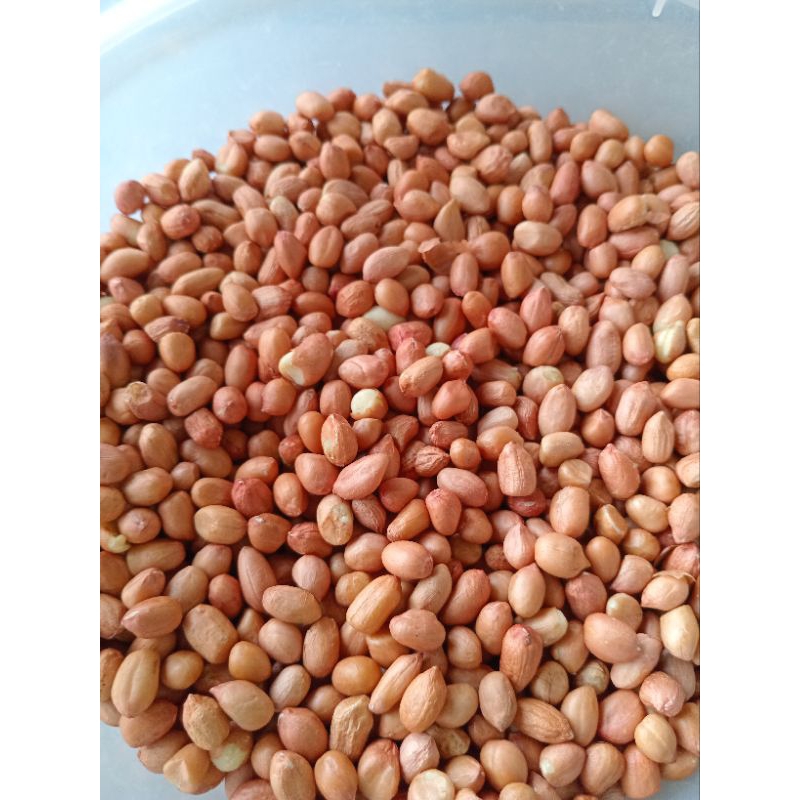 

kacang tanah kulit Ari mentah 250 gr 500 gr 1 kg