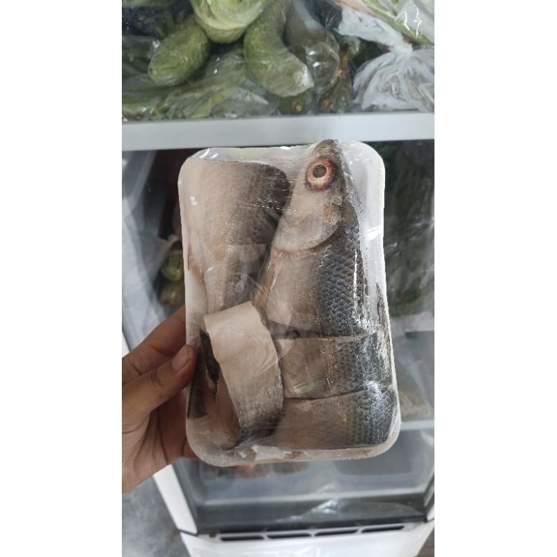 

BANDENG IKAN BANDENG BERSIH FRESH 1 EKOR