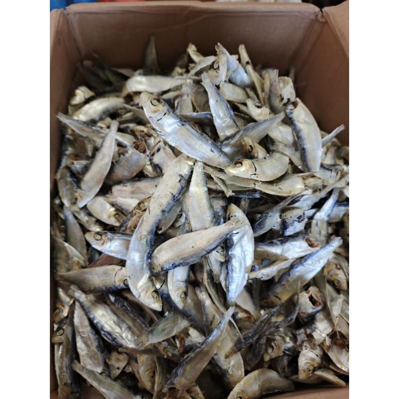 

Ikan Maning