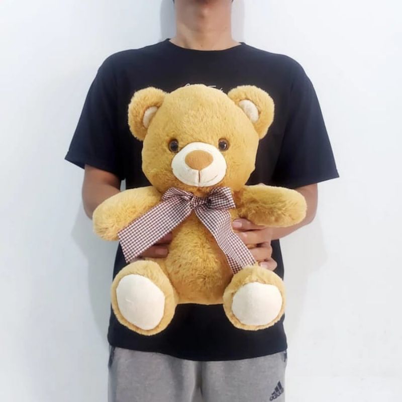 Boneka Teddy Bear Seulgi - Mainan Figure Beruang Koleksi Anak Perempuan Cewek