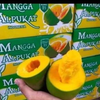 

mangga alpukat 1dus 5kg