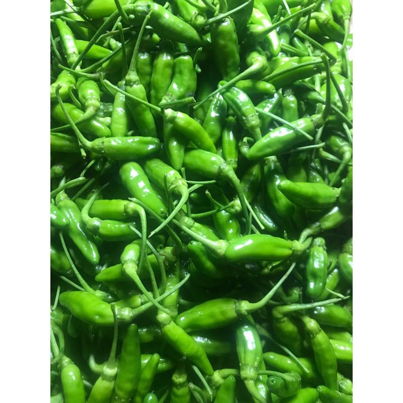 

cabe rawit hijau per 500 gr