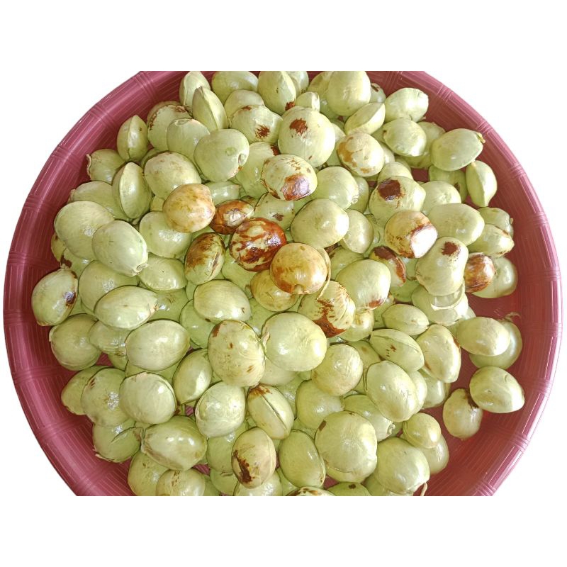 

jengkol tua fresh baru kupas asli lampung berat 250g