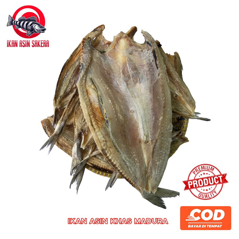 

Ikan Bloso Asin Kualitas Super Khas Madura 500 Gram