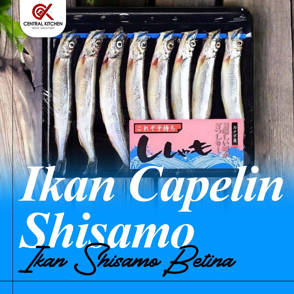 

Ikan Shisamo / Capelin / Ikan Cipung Betina Telur Jepang Premium