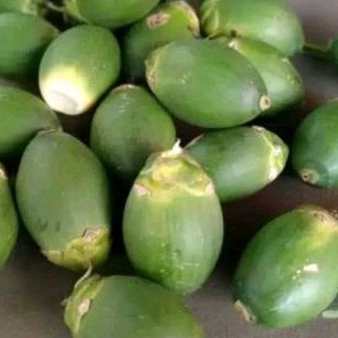 

buah pinang muda 1 kg