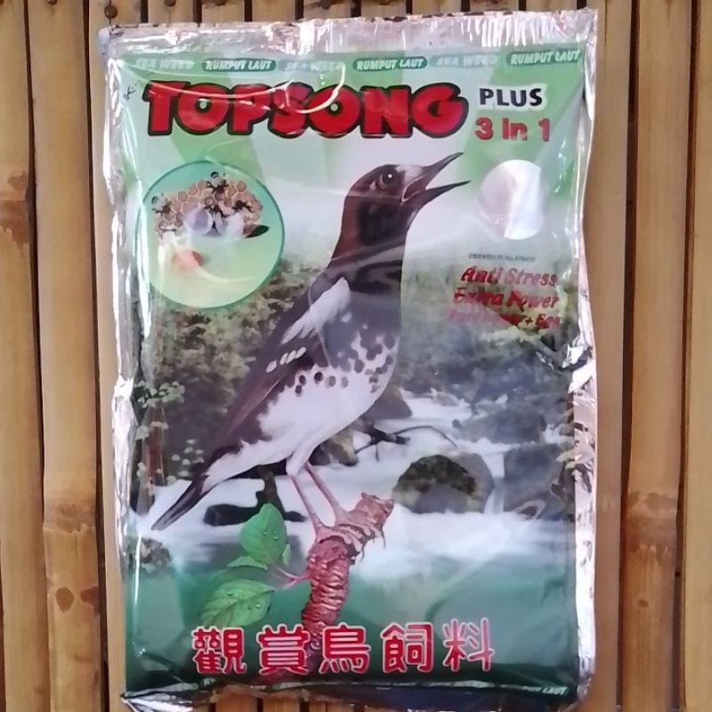 Top song ekstra rumput laut