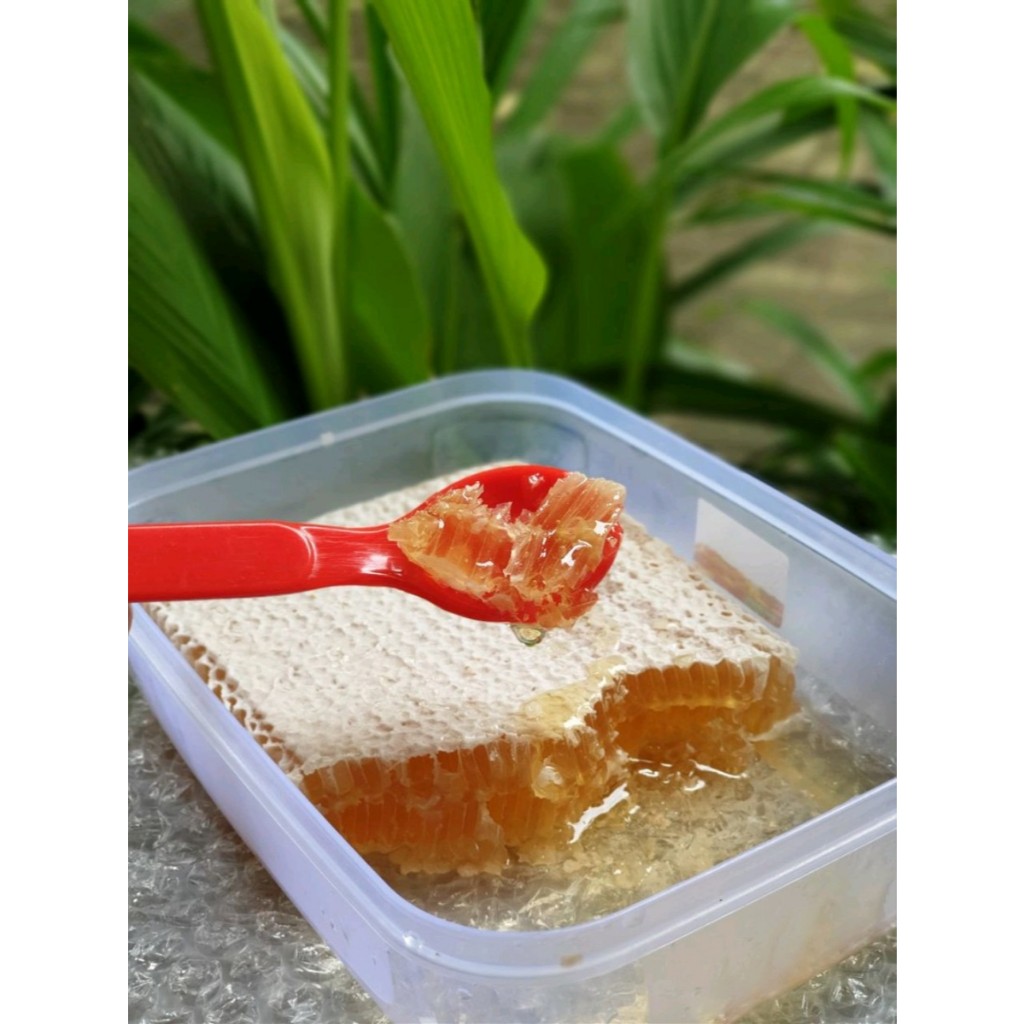 

Madu sarang Asli 500gr Madu asli Dari lebah