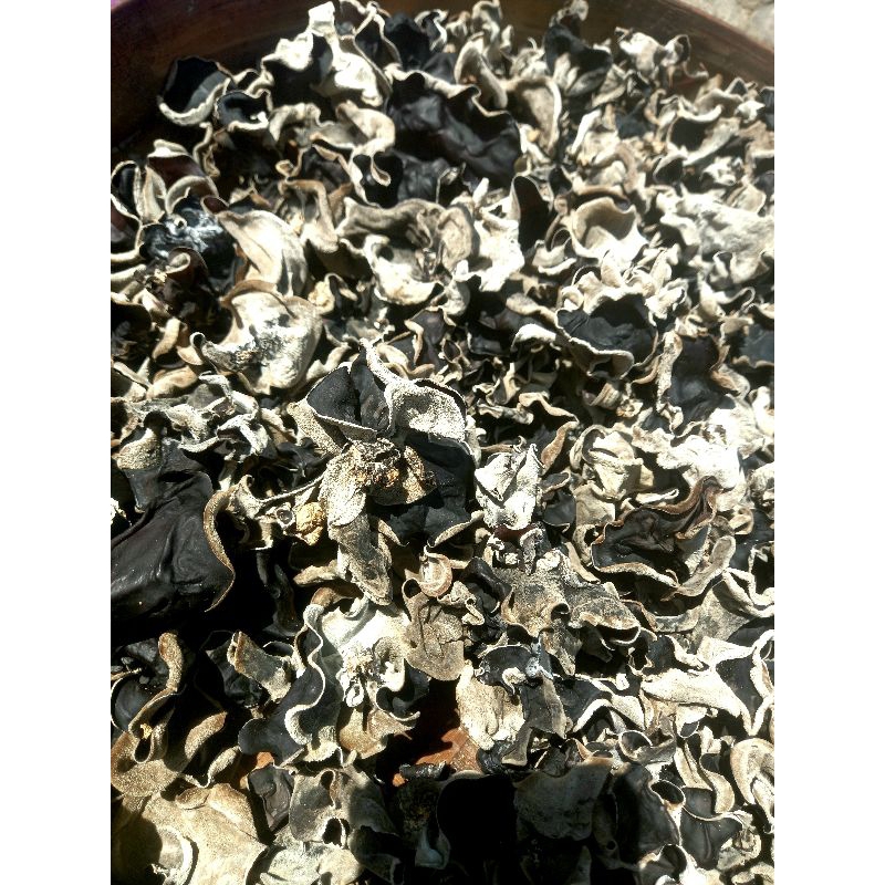 

JAMUR KUPING KERING GRADE A 250GR