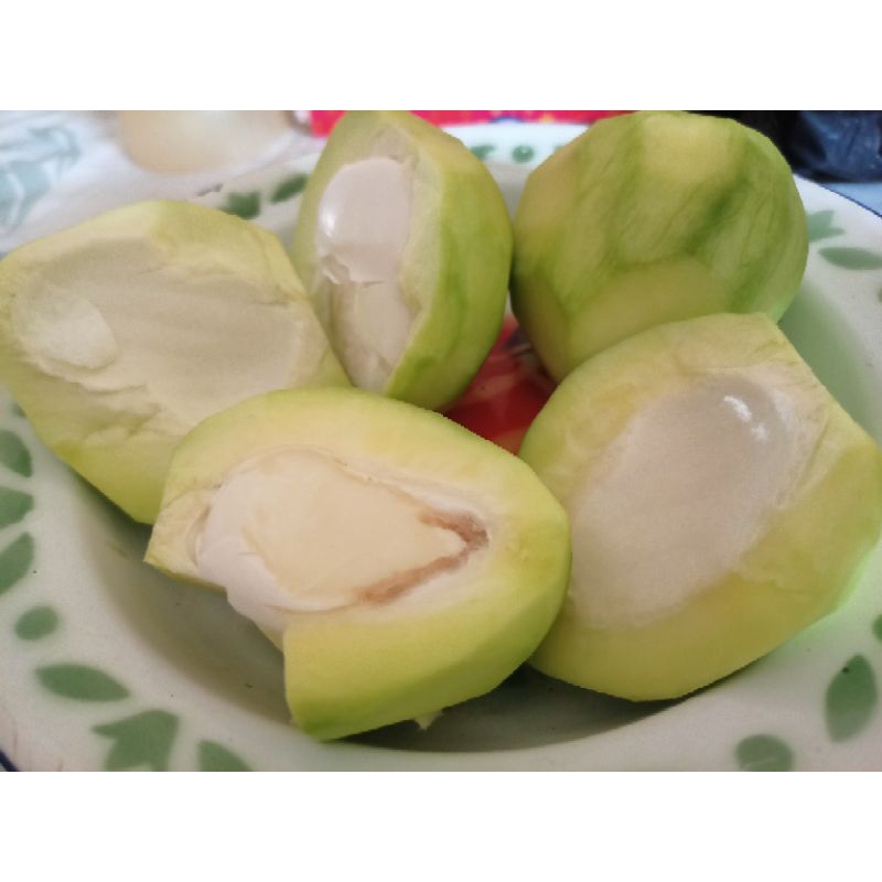 

manggamuda