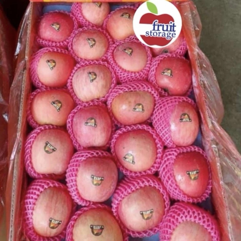 

Buah Apel Fuji Import Grosir 1 dus carton