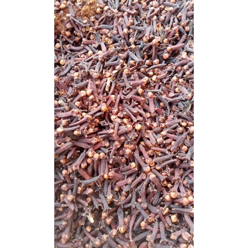 

cengkeh rempah 100 gr original