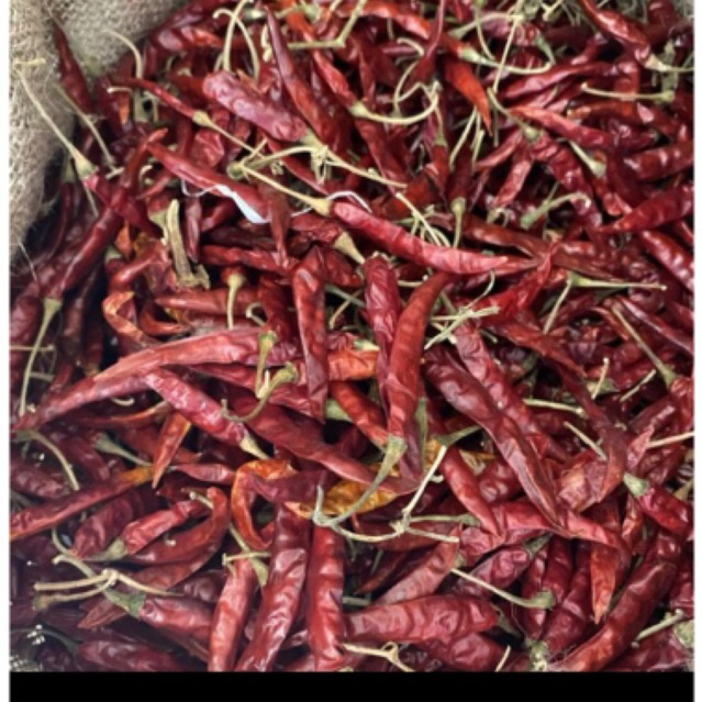 

cabai kering/250g/cabe rawit extra pedas/ cabe teja kering /dengan tangkai/kwalitas super