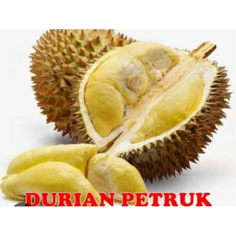 BUAH DURIAN PETRUK BULAT UTUH FRESH