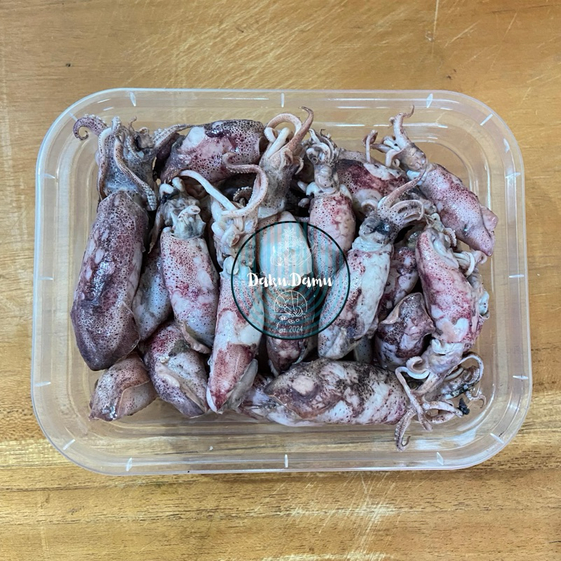 

KIRIM INSTANT/SAMEDAY Baby Cumi Asin 250gr