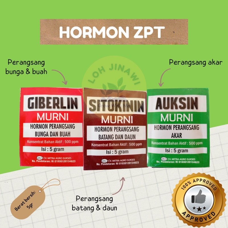 HORMON AUKSIN, GIBERLIN, SITOKININ SACHET BUBUK ISI 5GRAM