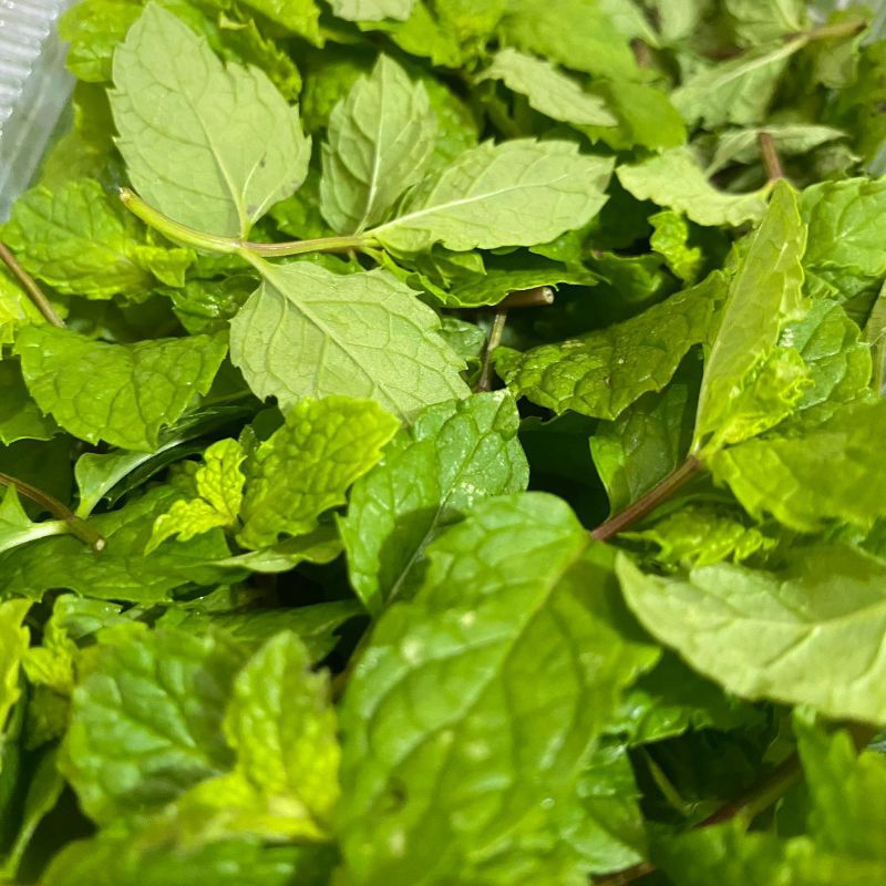 

Daun mint