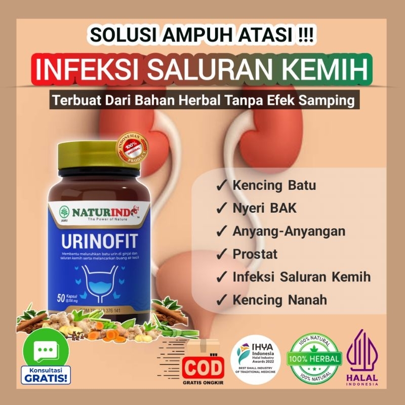 Obat Infeksi Saluran Kemih Anyang-Anyangan Ngompol Kencing Batu Batu Empedu Urinofit Naturindo