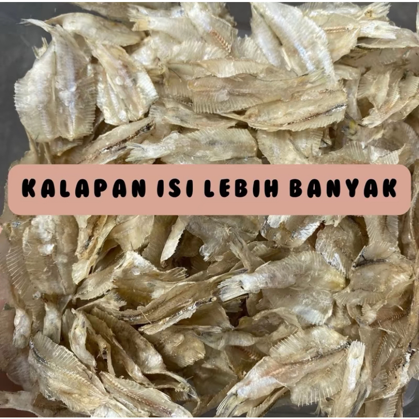 

IKAN KALAPAN IKAN ASIN AZIZAH