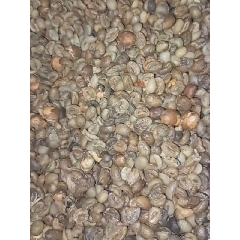 

Kopi Robusta Murah 1 Kg (Riject/Cabutan/sortiran asalan)