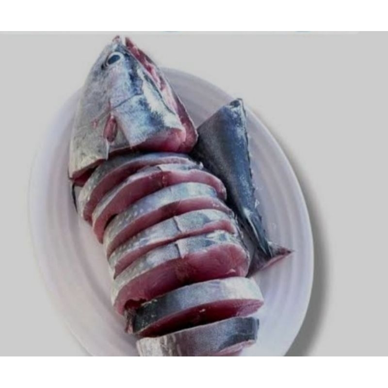 

Ikan Tongkol Pontong 1 kg