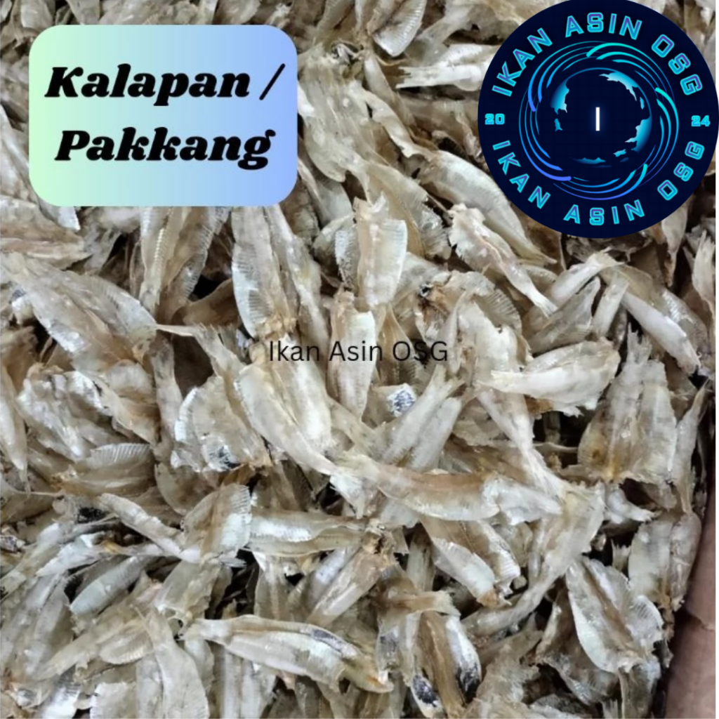 

Kalapan Tawar / Pakkang/amigo
