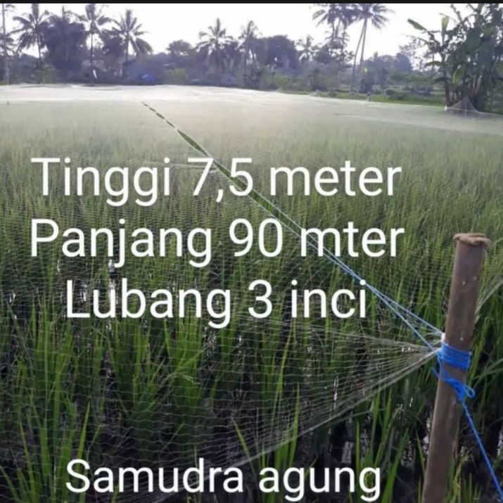 Super Bahan Jaring burung jaring padi jaring sawah lubang 3 inci bonus tali untuk burung tekukur per