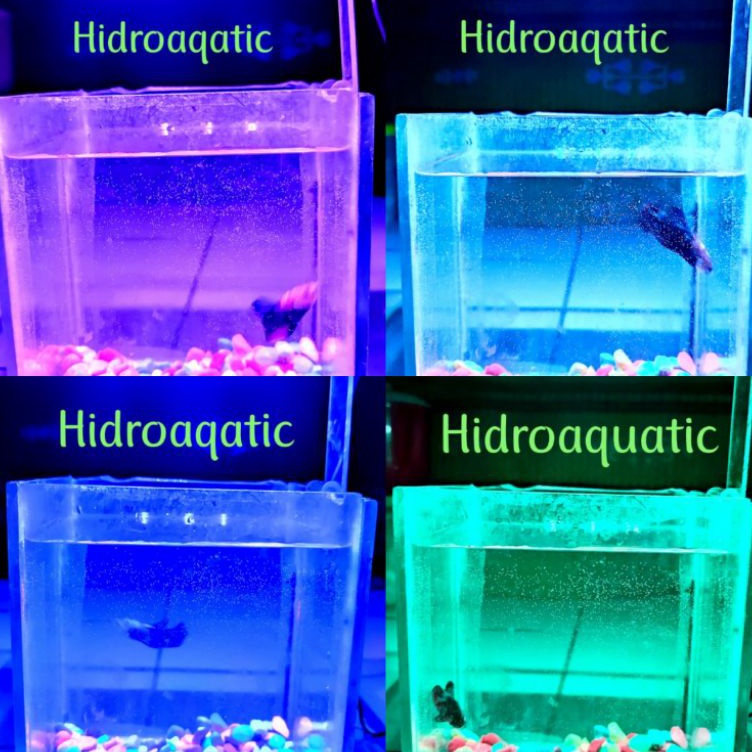 Promo Update  PROMO LAMPU AQUARIUM SOLITER MINI  LAMPU LED  LAMPU SOLITER  LED AQUARIUM  LAMPU MINI 