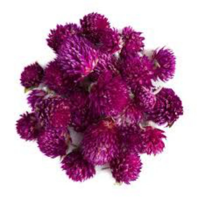 

Bunga Globe Amaranth Tea Kering Kemasan 1Kg Teh Bunga Kenop